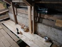 20251129_171506 (1024x768).jpg